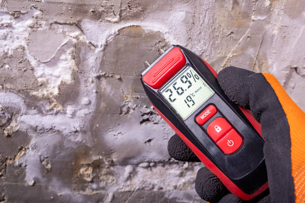 Mold Removal Process in Monument, CO